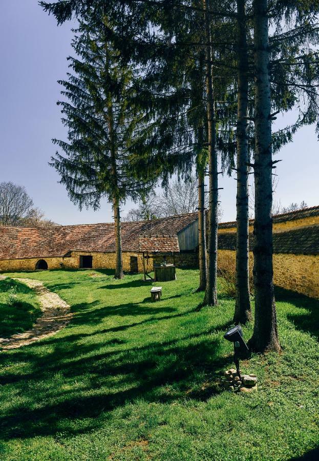 Hotel Casa Kraus Crit Zewnętrze zdjęcie