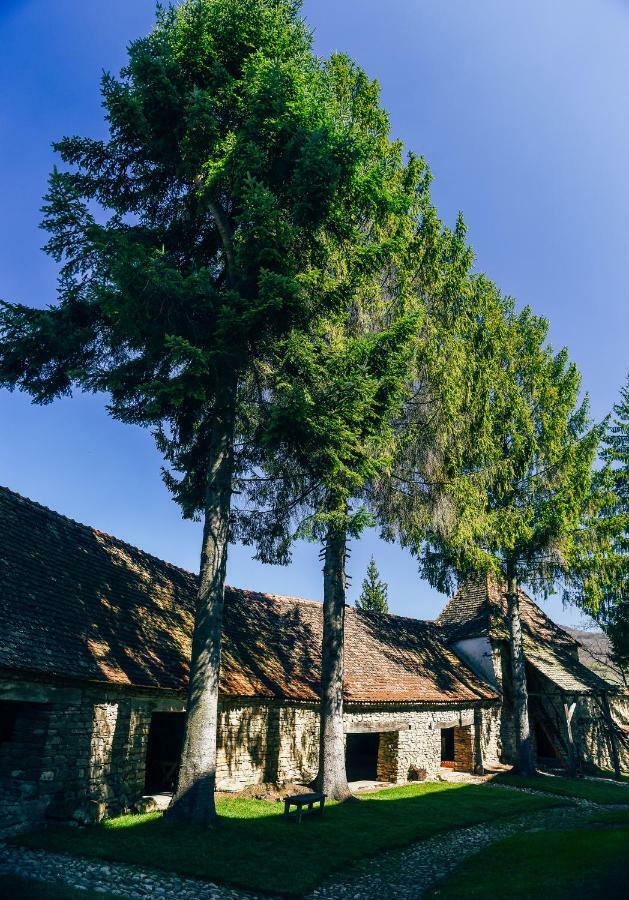 Hotel Casa Kraus Crit Zewnętrze zdjęcie